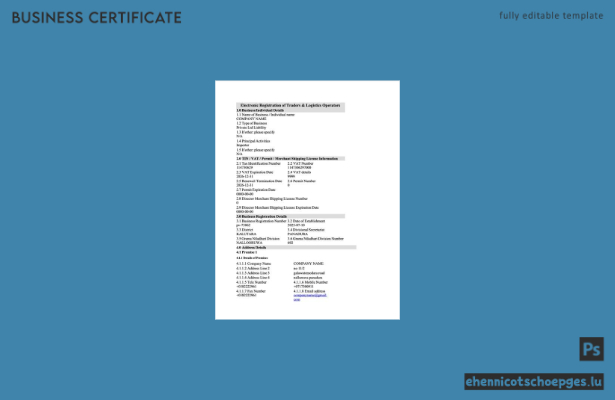 Elektronische Registrierung in Sri Lanka – Beispielansicht (Word und PDF)